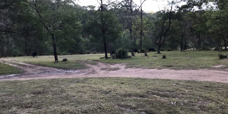 Photo by Stephanie L.