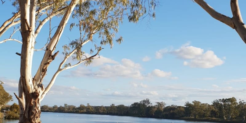 Photo by Michelle D.