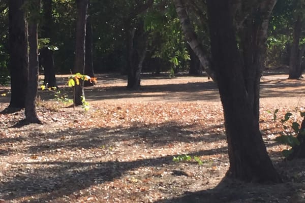 Photo by Kim & Shane