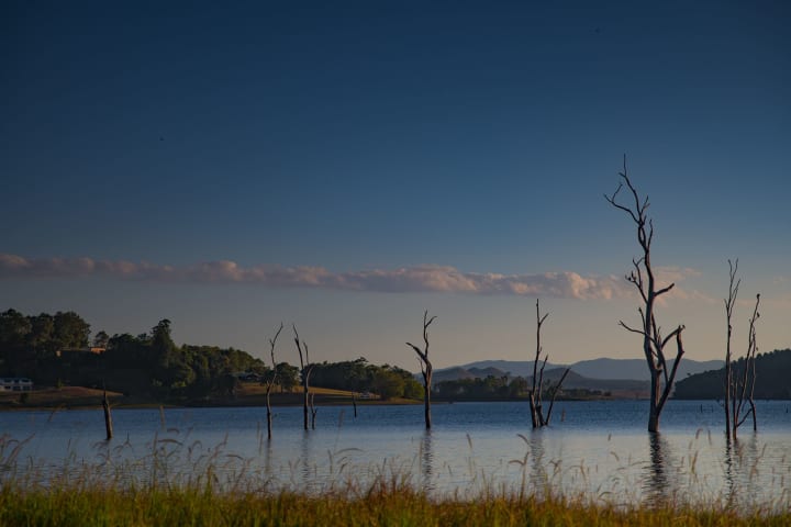 Photo by Genazzano R.