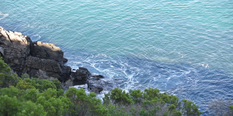 Photo by Brucethegoose