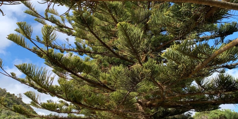 Photo by Kerri-lee M.