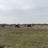 Photo by Samantha W.