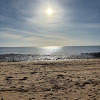 Photo by Jacqueline A.