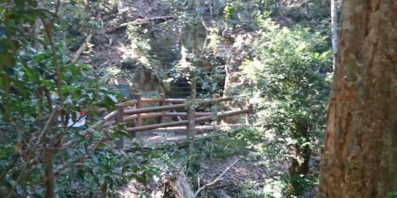 Photo of Booloumba Creek Camp 1