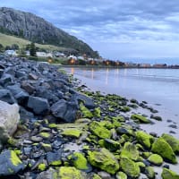 Photo by Corporate to Caravan