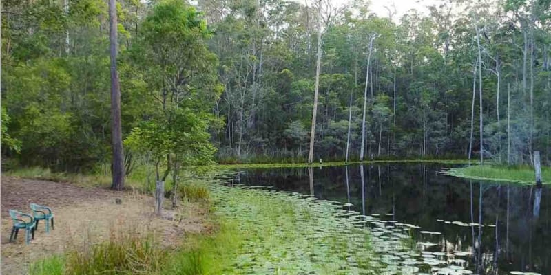 Photo by Virginia M.