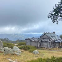 Photo by Jess & Harley