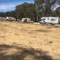 Photo by Lisa Brown White