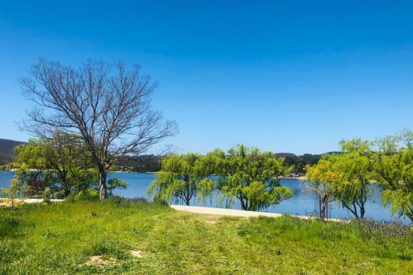 Photo by Nott Chutima Phayungporn