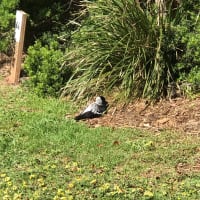 Photo by Jennifer J.