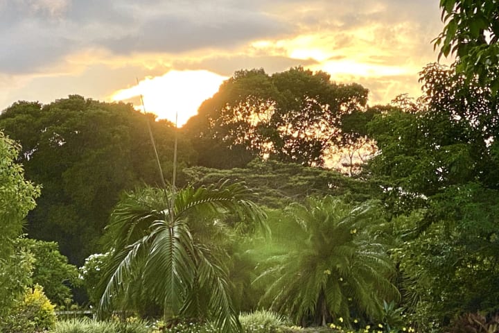 Photo by Sharlene K.