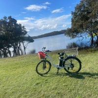 Photo by Felicity b.