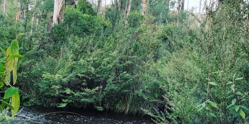 Photo by Brooklyn E.