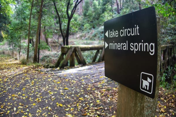 Photo by Jaspreet S.