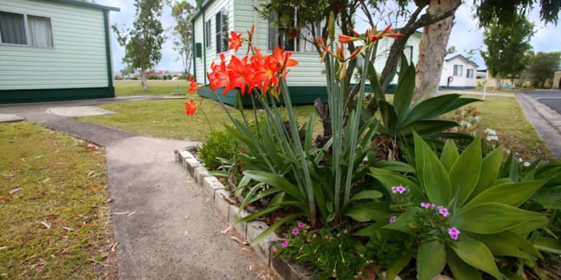 Photograph of 10 campgrounds with toilets and rainwater near Coraki, NSW