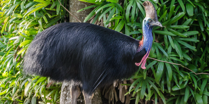 Photo by Guest.Relations