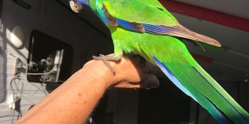 Photo by Donna Shayne Wilkes