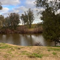 Photo by Christopher P.