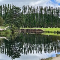 Photo by Corporate to Caravan