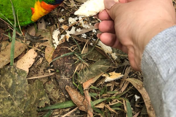 Photo by Cristina B.