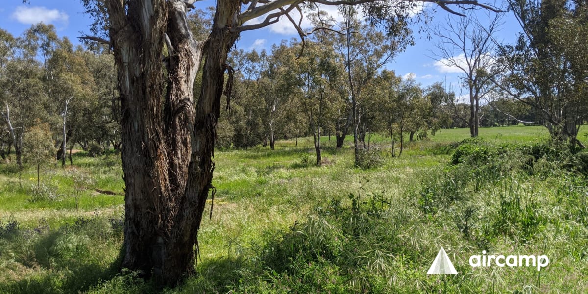Back Creek Reserve