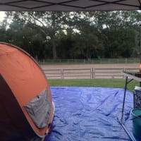 Photo by Michelle E.