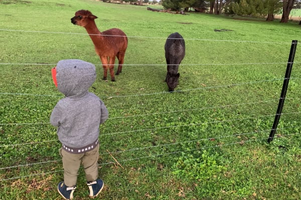 Photo by Gabrielle s.