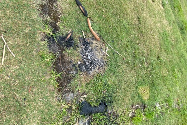 Photo by Louise Le Roux