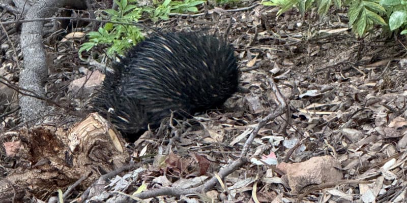 Photo by Erwin Van Den Bosch