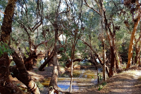 Photo by My Rig Adventures