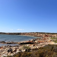 Photo by Chelsea and Jye