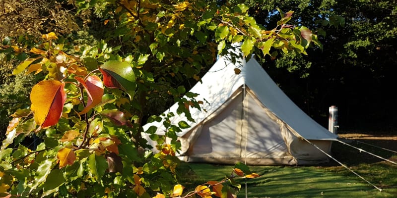 Photo by Fränzi and Tom - Jamieson Caravan Park