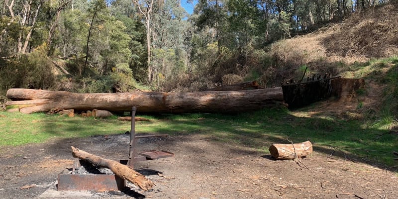 Photo of Yackandandah Creek Site 10