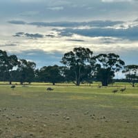 Photo by Chelsea and Jye