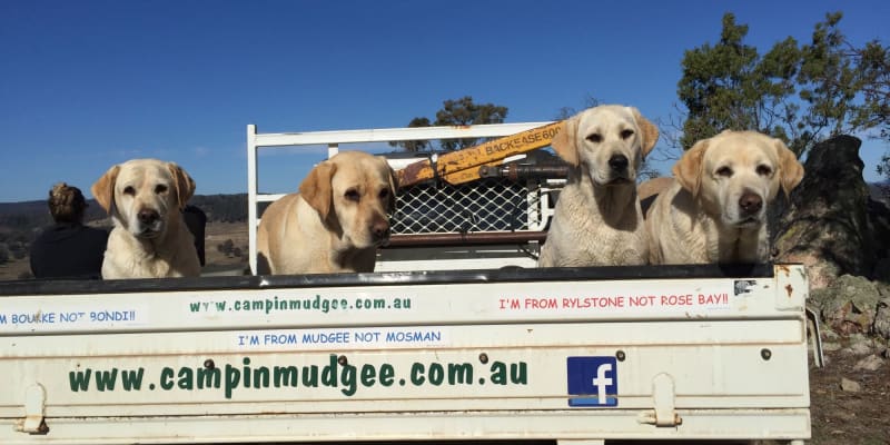 Photo by Sally E NAGEL