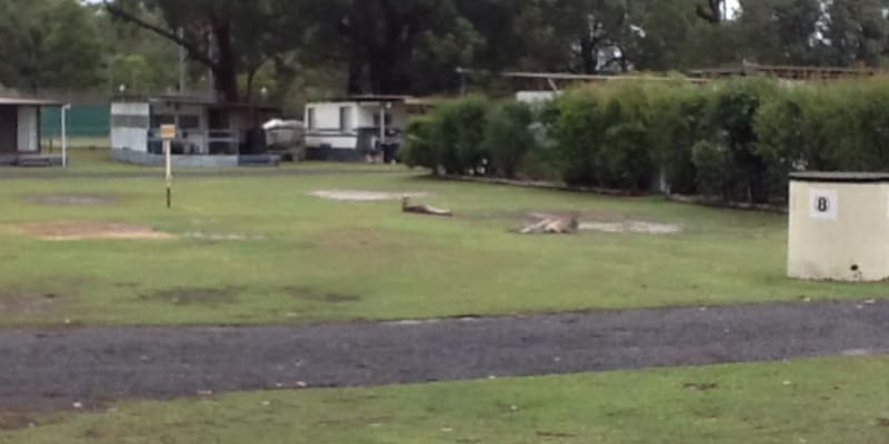 Photo of Lake Conjola Waterfront Holiday Park