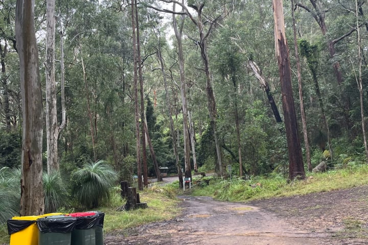 Photo by Eivi from Estonia