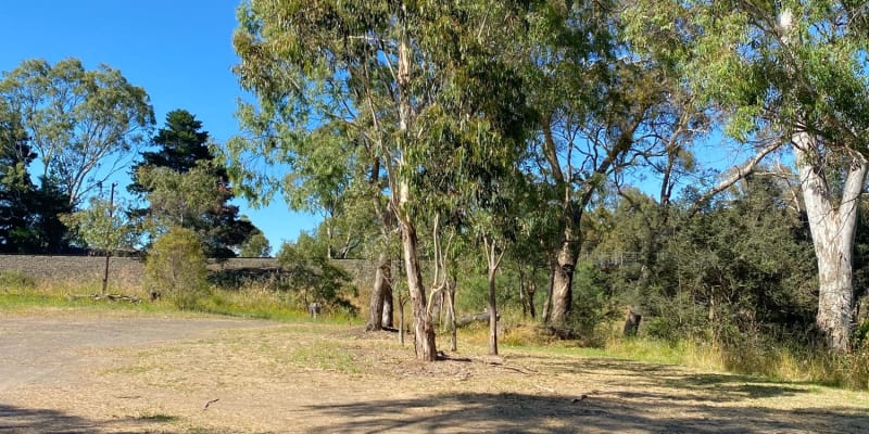 Photo by Jennifer K.