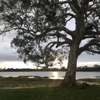 Photo by Michelle C.