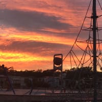 Photo by Erin Rogers Bell