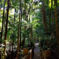 Photo by My Rig Adventures