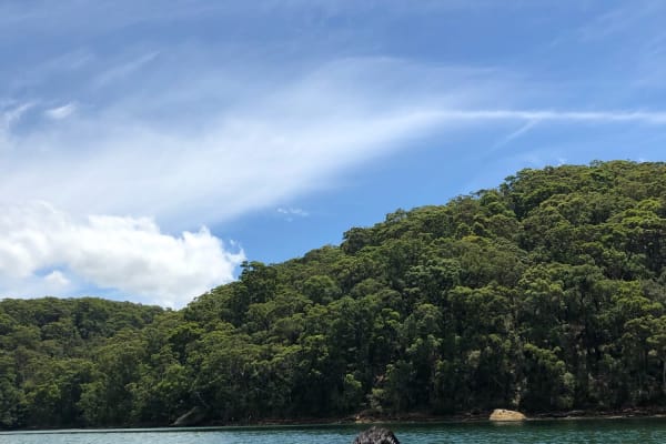 Photo by _haere.ki.waho_