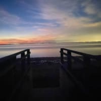 Photo by Phillippa P.