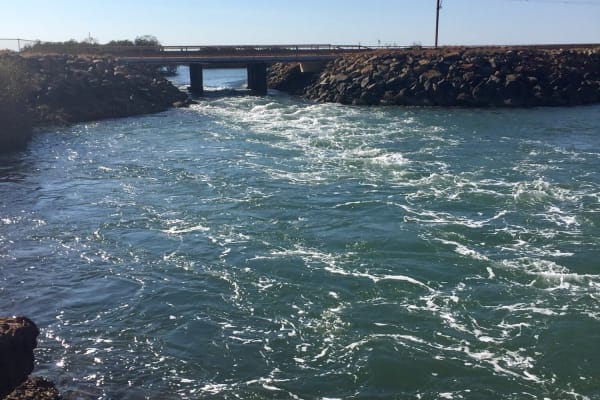 Photo by Kim & Shane