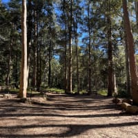 Photo by Eivi from Estonia