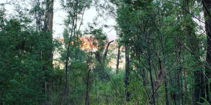 Photo by Brooklyn E.