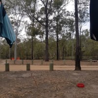 Photo by A couple with a Collie ❤