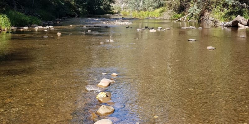 Photo by Laurence Van Burck