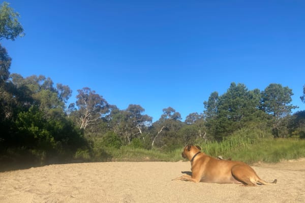 Photo by Stephanie K.